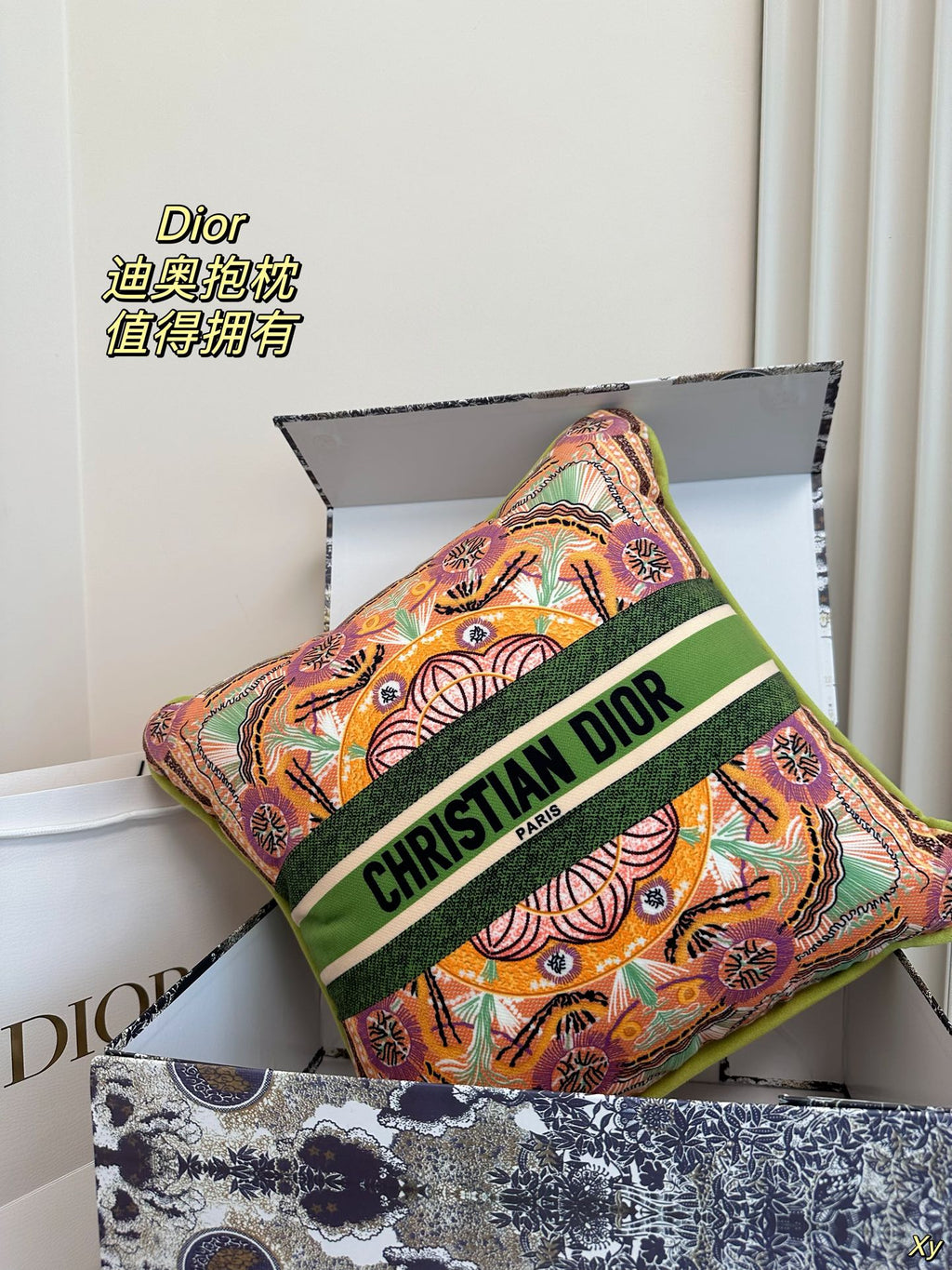 Dior Limited Edition Home Pillow