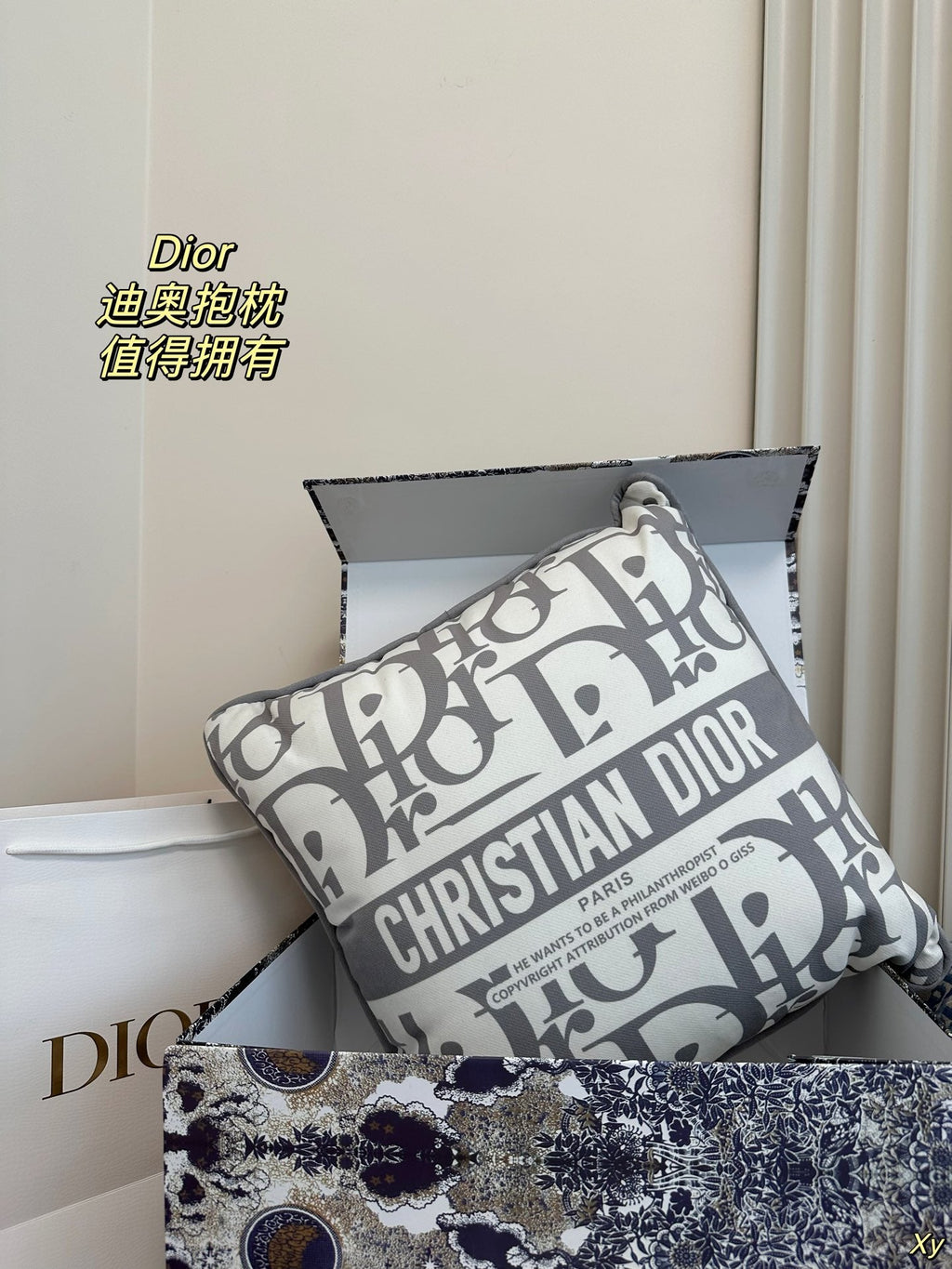 Dior Limited Edition Home Pillow