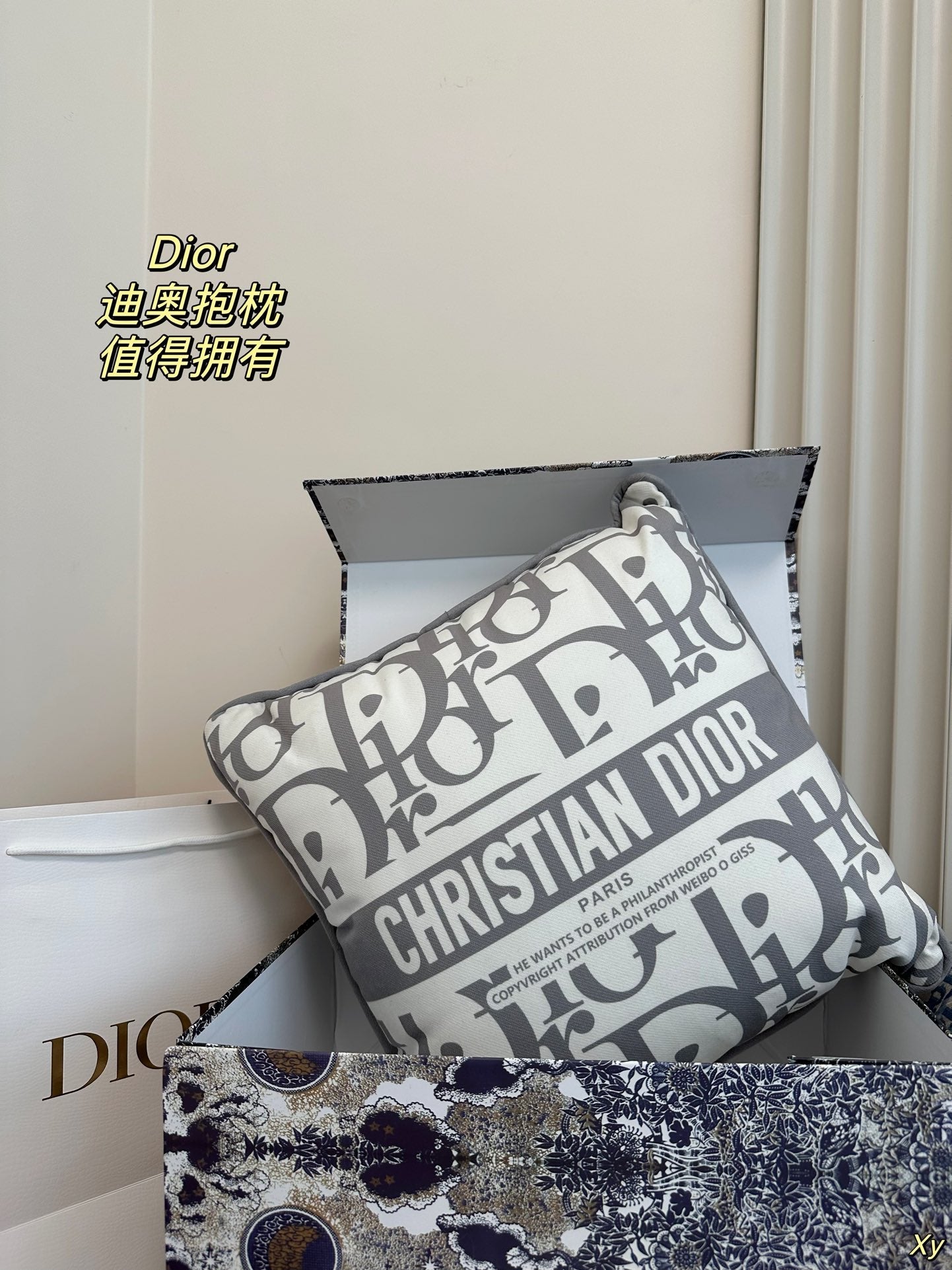 Dior Limited Edition Home Pillow