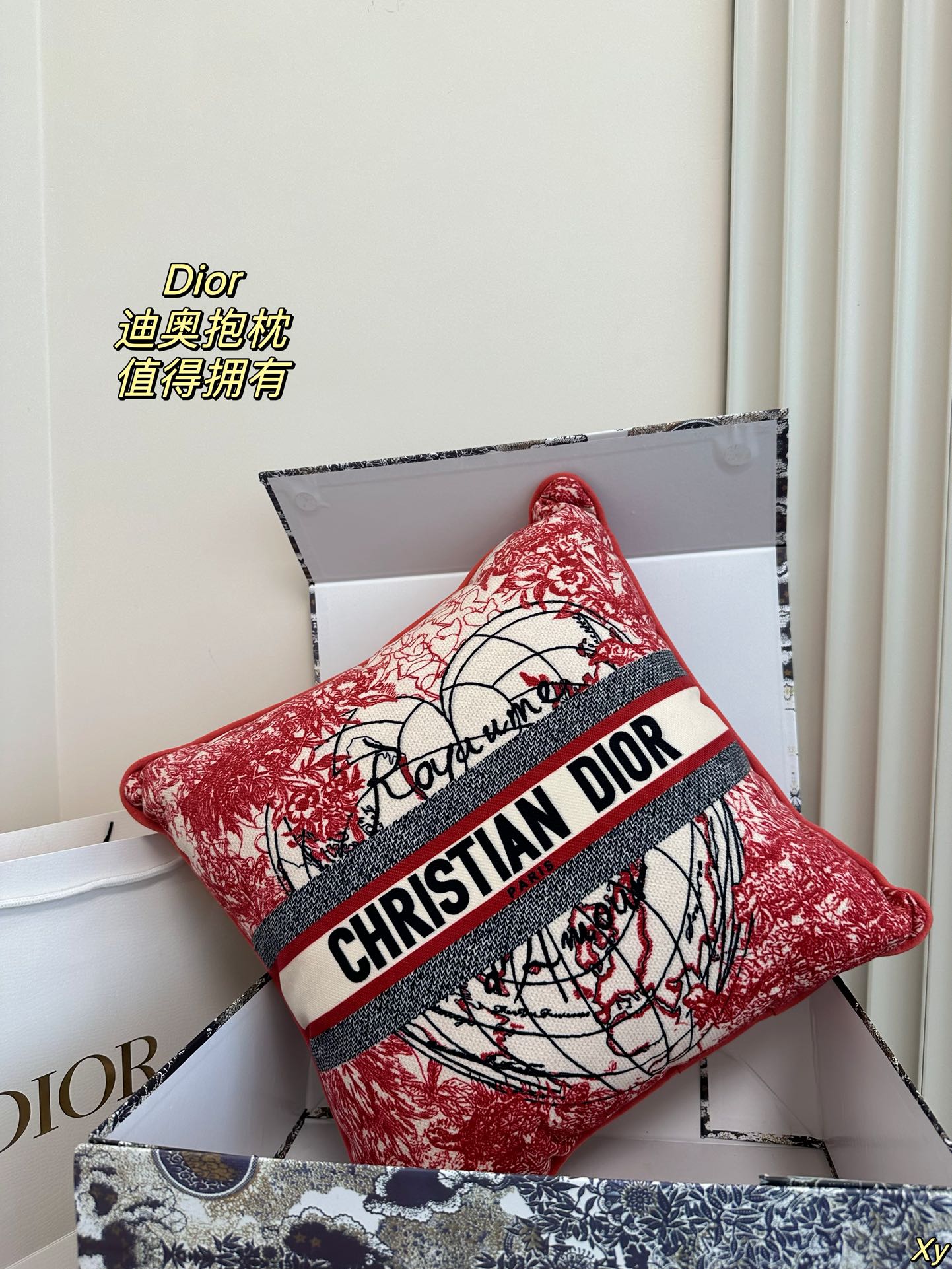 Dior Limited Edition Home Pillow