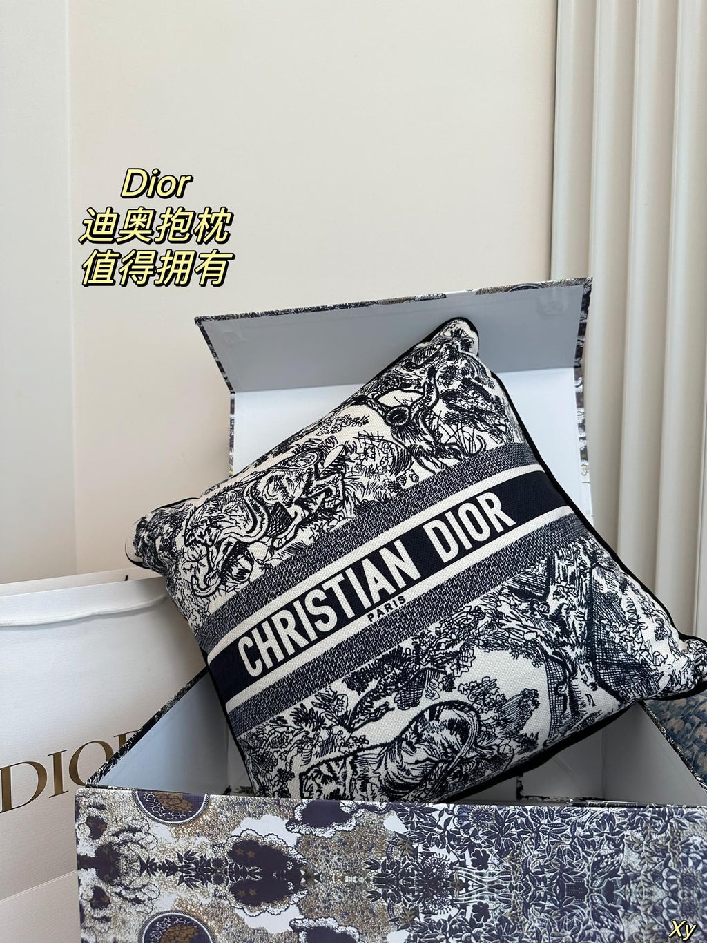 Dior Limited Edition Home Pillow