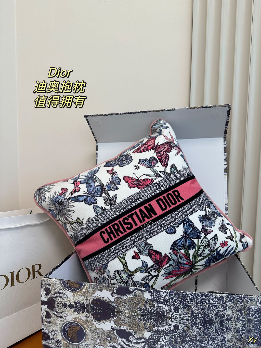 Dior Limited Edition Home Pillow