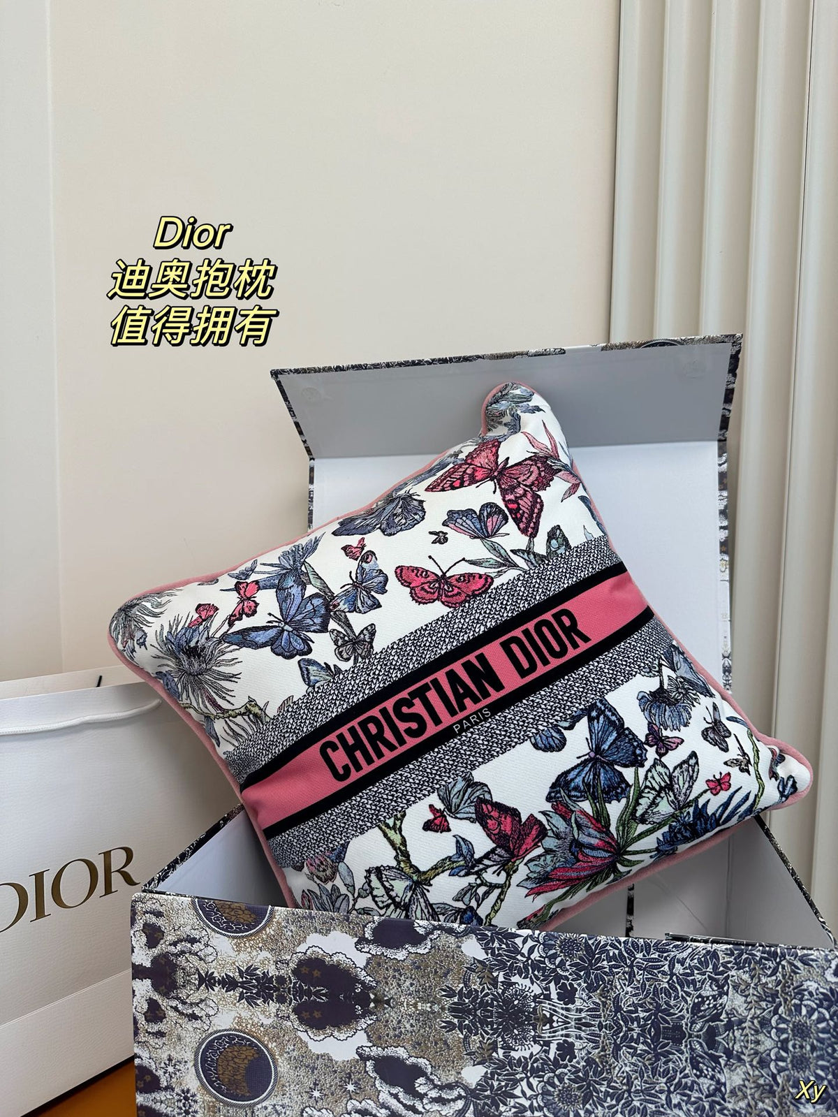 Dior Limited Edition Home Pillow