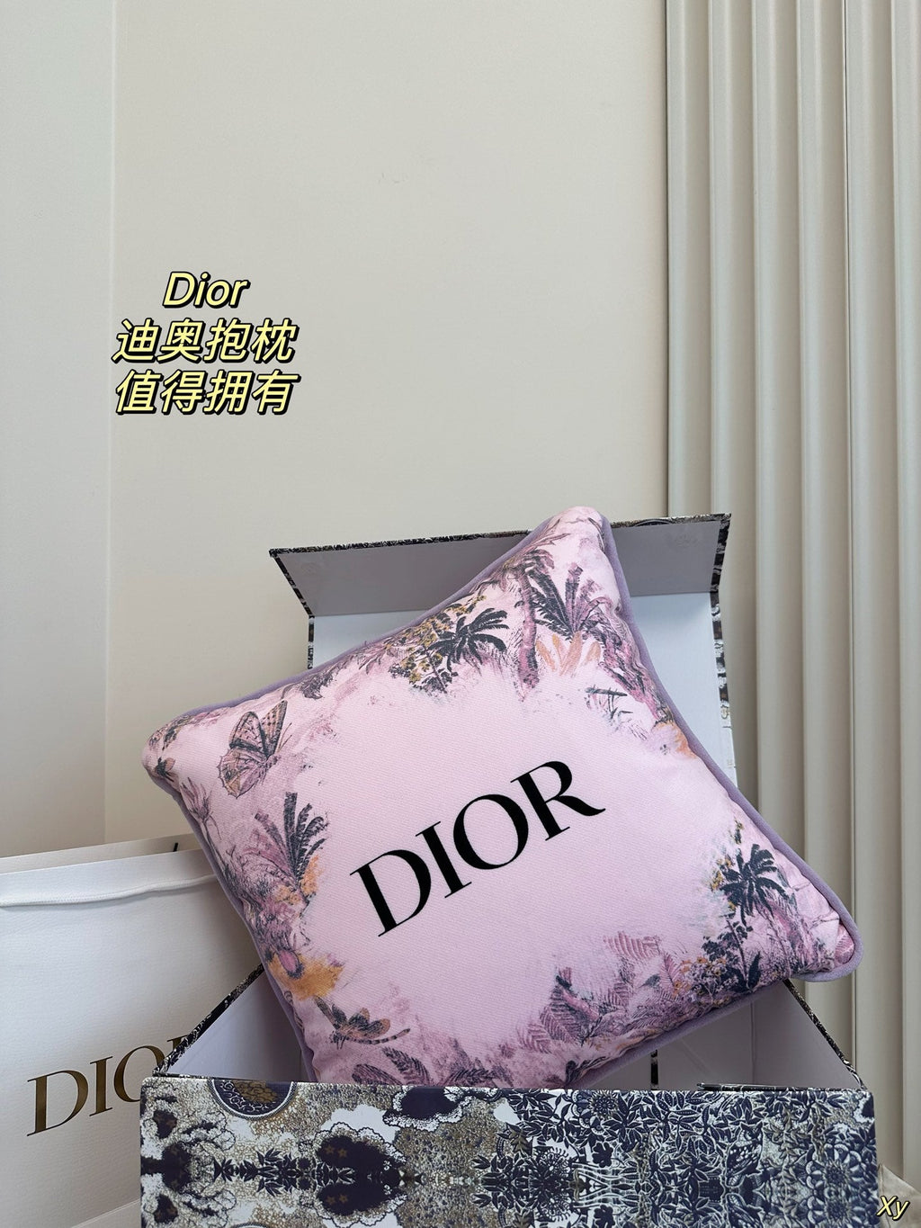 Dior Limited Edition Home Pillow