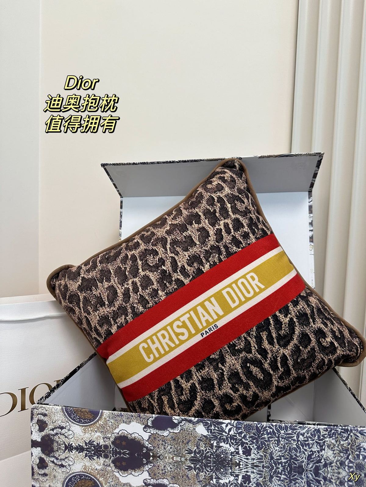 Dior Limited Edition Home Pillow