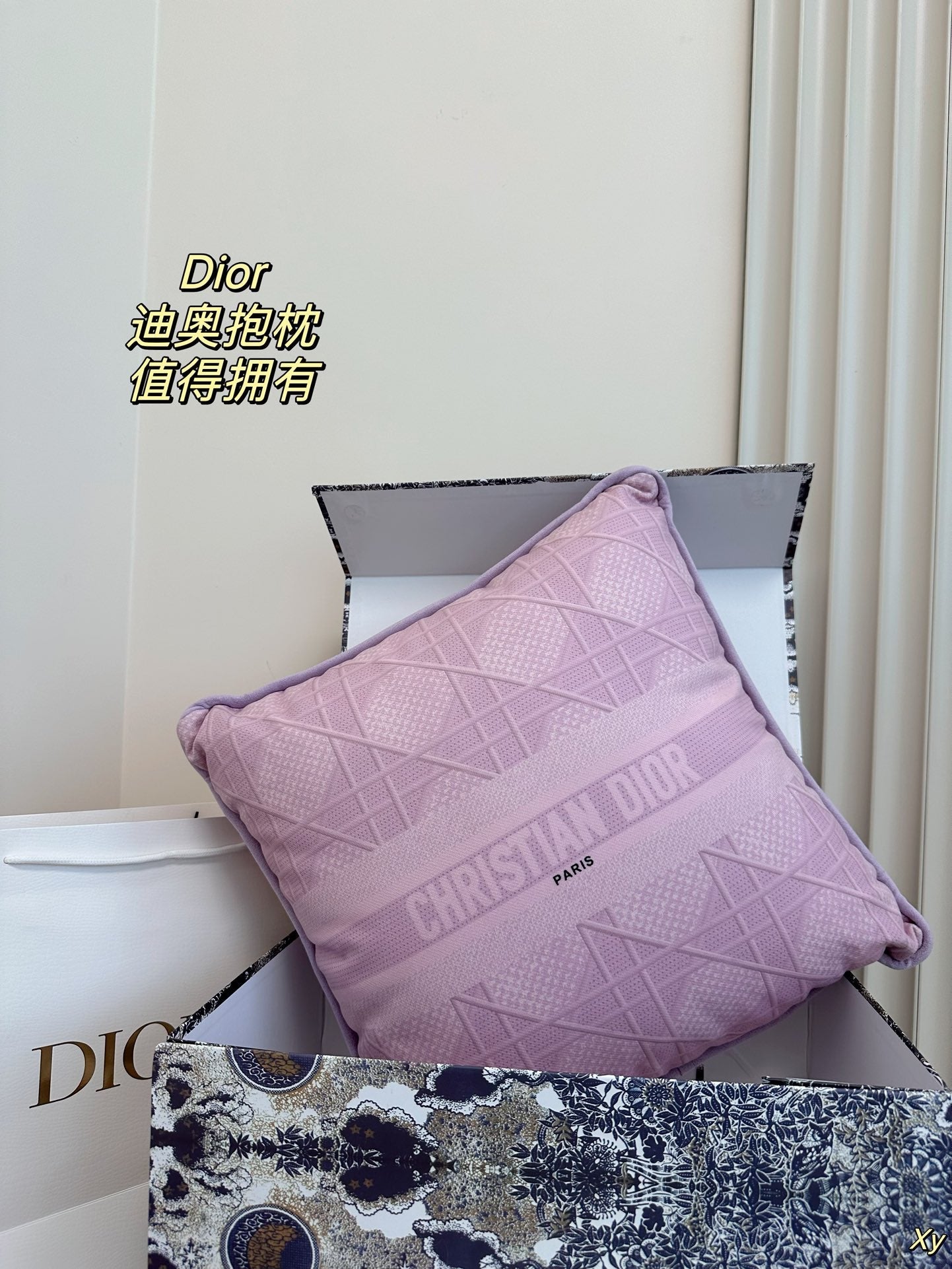 Dior Limited Edition Home Pillow