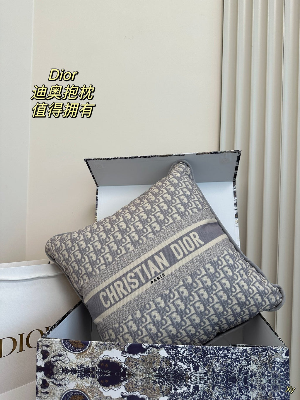 Dior Limited Edition Home Pillow
