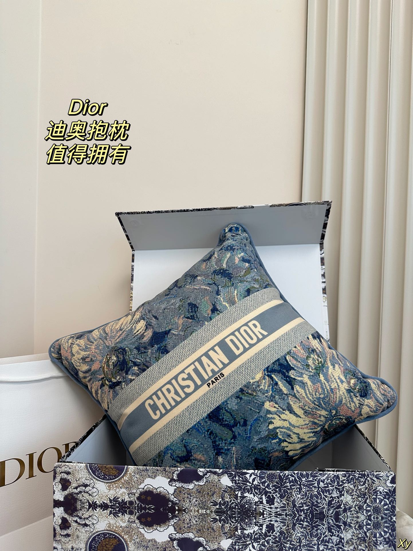 Dior Limited Edition Home Pillow