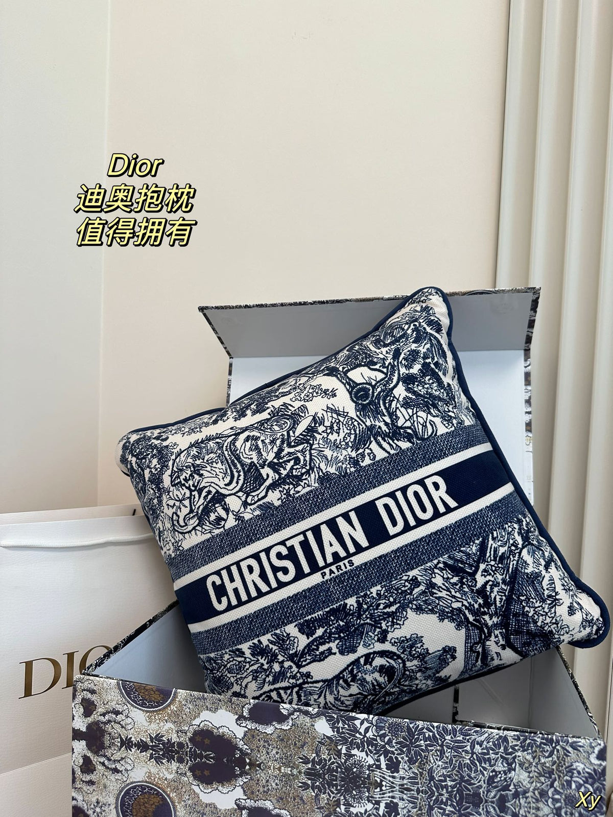 Dior Limited Edition Home Pillow