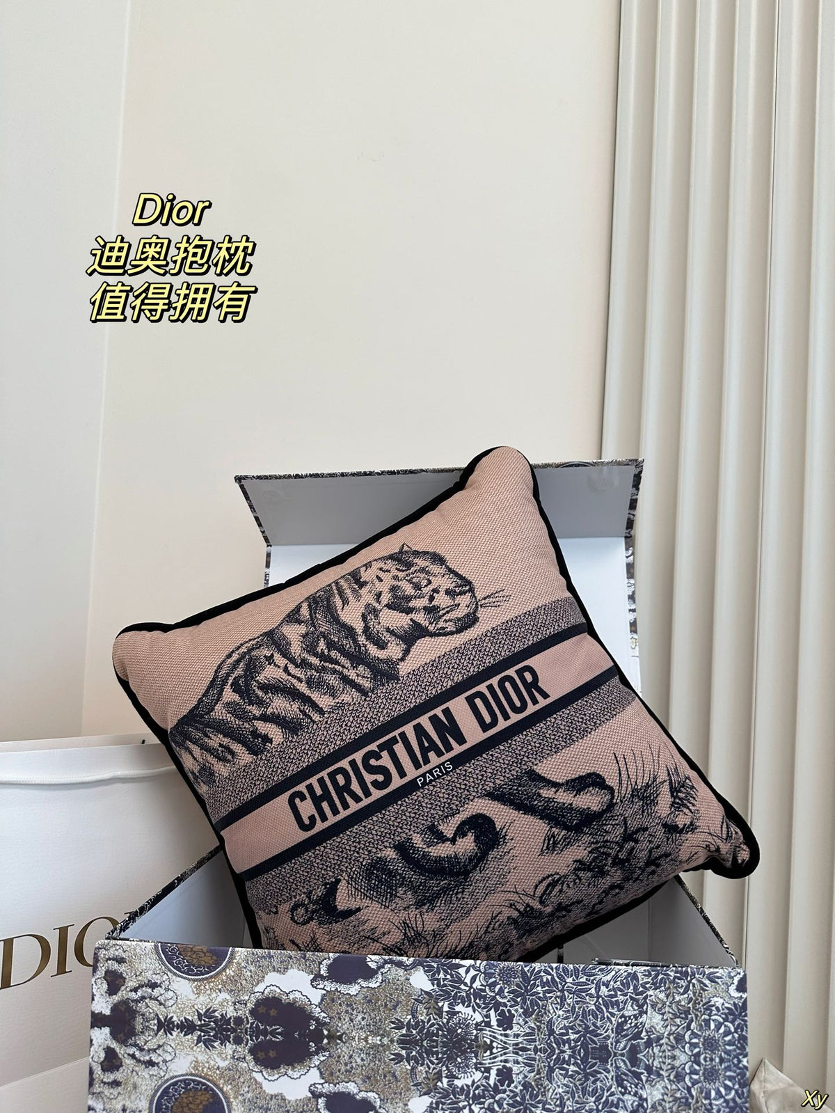 Dior Limited Edition Home Pillow
