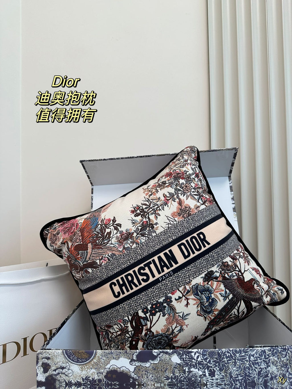 Dior Limited Edition Home Pillow