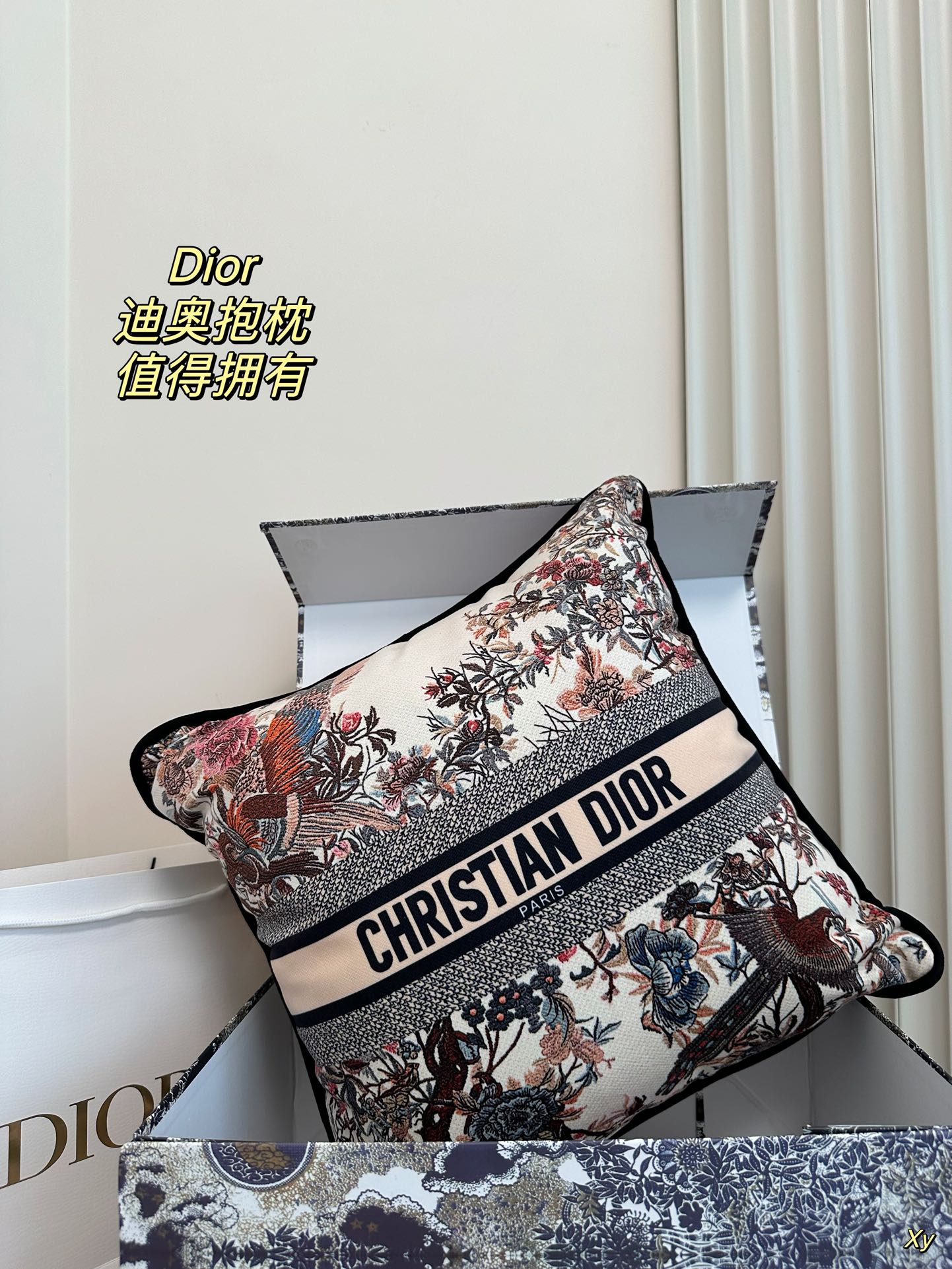 Dior Limited Edition Home Pillow