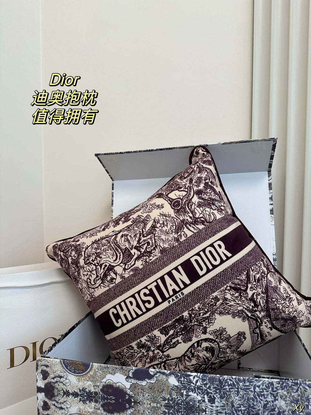 Dior Limited Edition Home Pillow