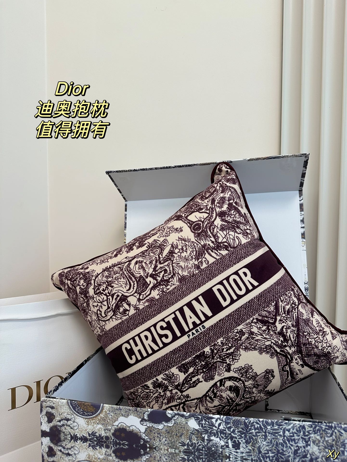 Dior Limited Edition Home Pillow