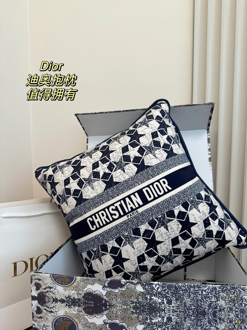 Dior Limited Edition Home Pillow