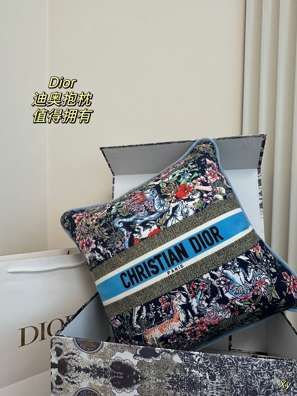 Dior Limited Edition Home Pillow