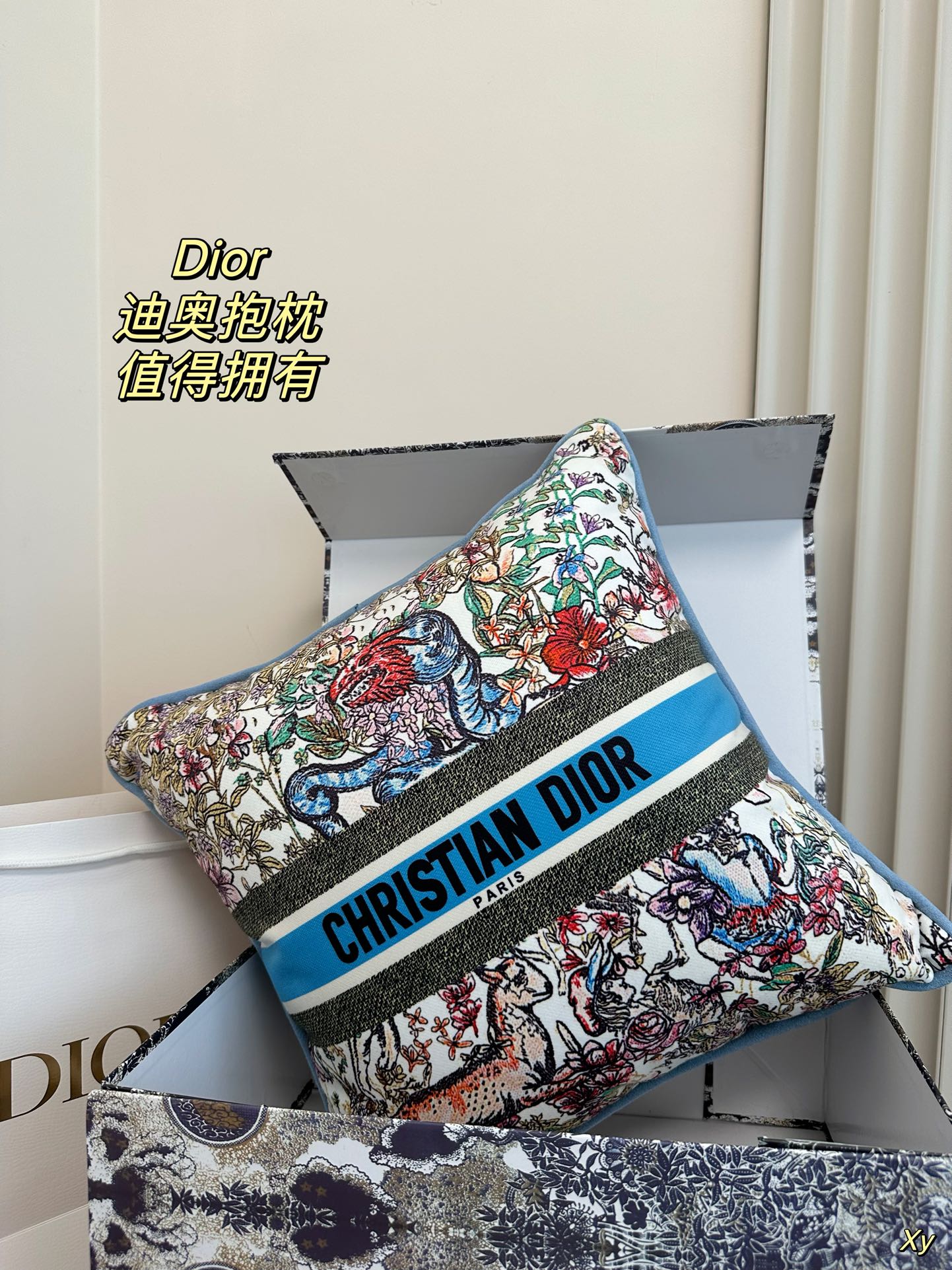 Dior Limited Edition Home Pillow