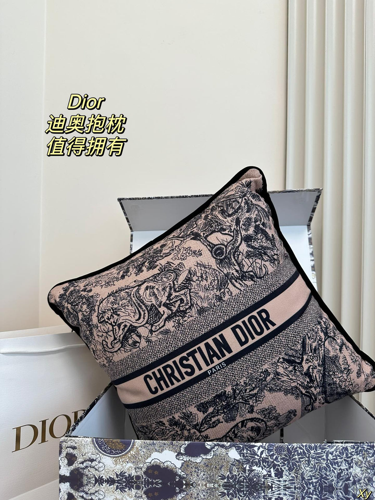 Dior Limited Edition Home Pillow