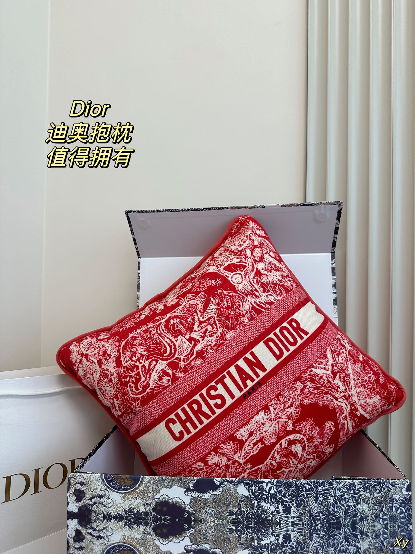 Dior Limited Edition Home Pillow