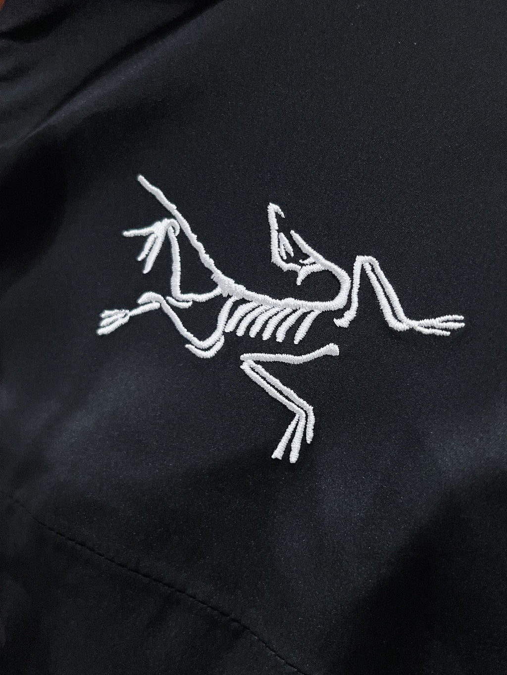Arc'teryx Classic Hard Shell Down Ski Jacket