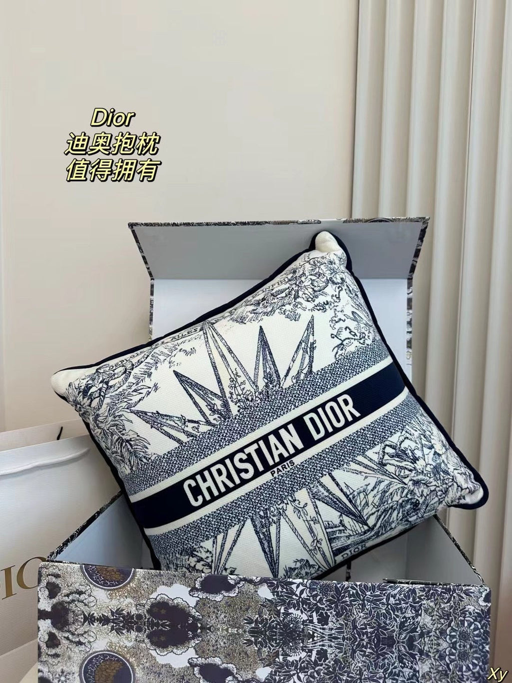 Dior Limited Edition Home Pillow