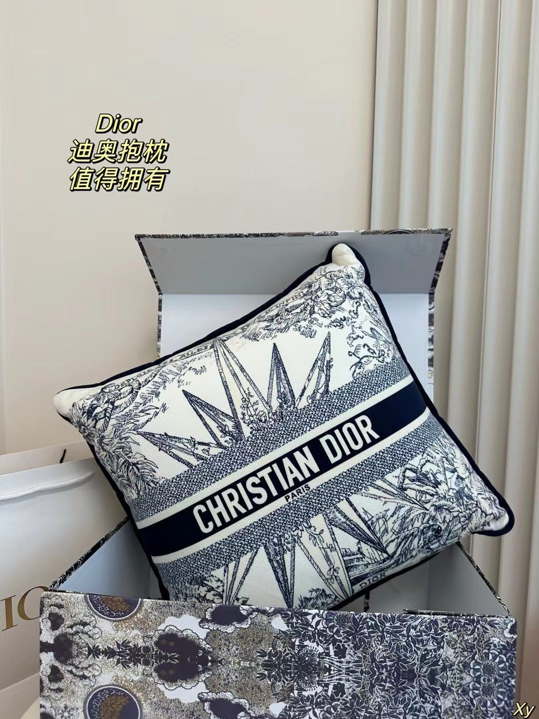 Dior Limited Edition Home Pillow
