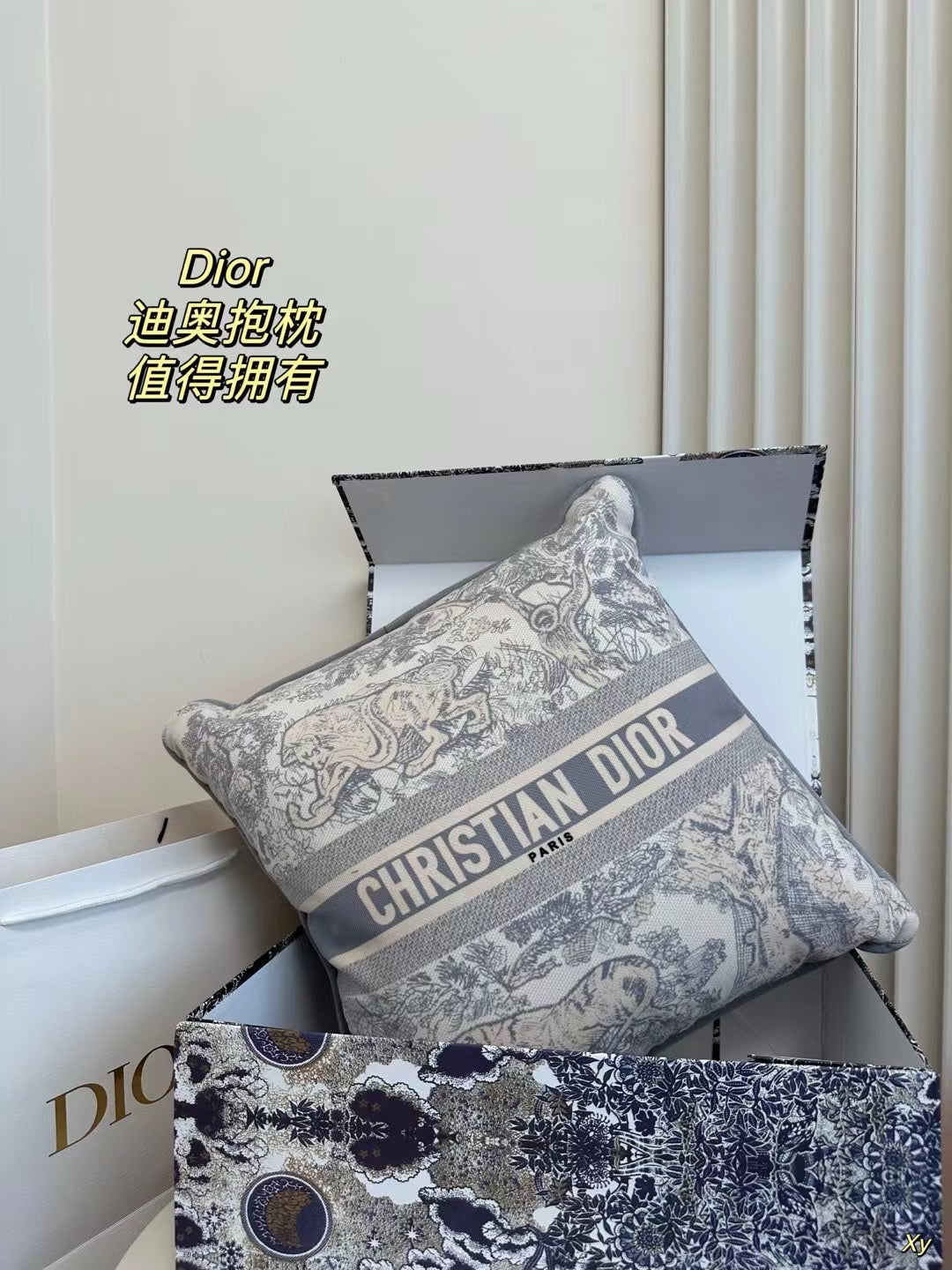 Dior Limited Edition Home Pillow