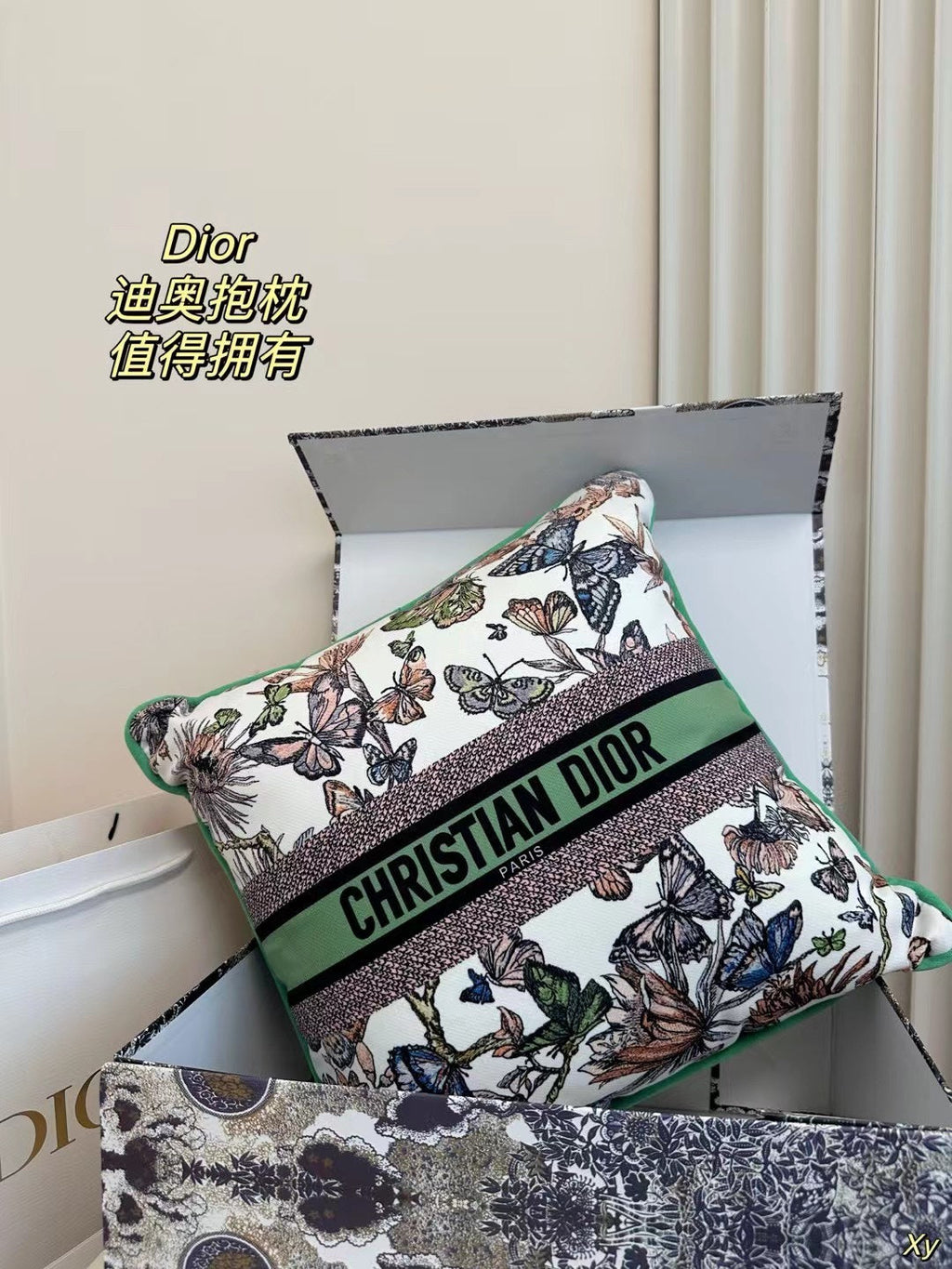 Dior Limited Edition Home Pillow