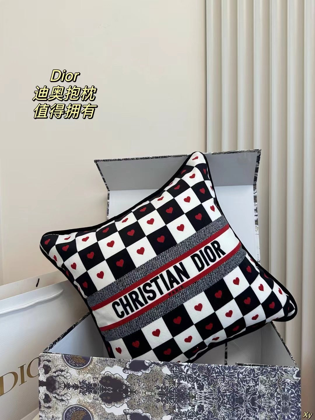 Dior Limited Edition Home Pillow