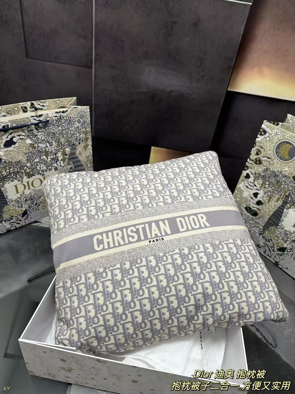 Dior Pillow Blanket Cushion