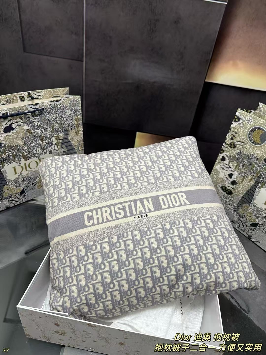 Dior Pillow Blanket Cushion