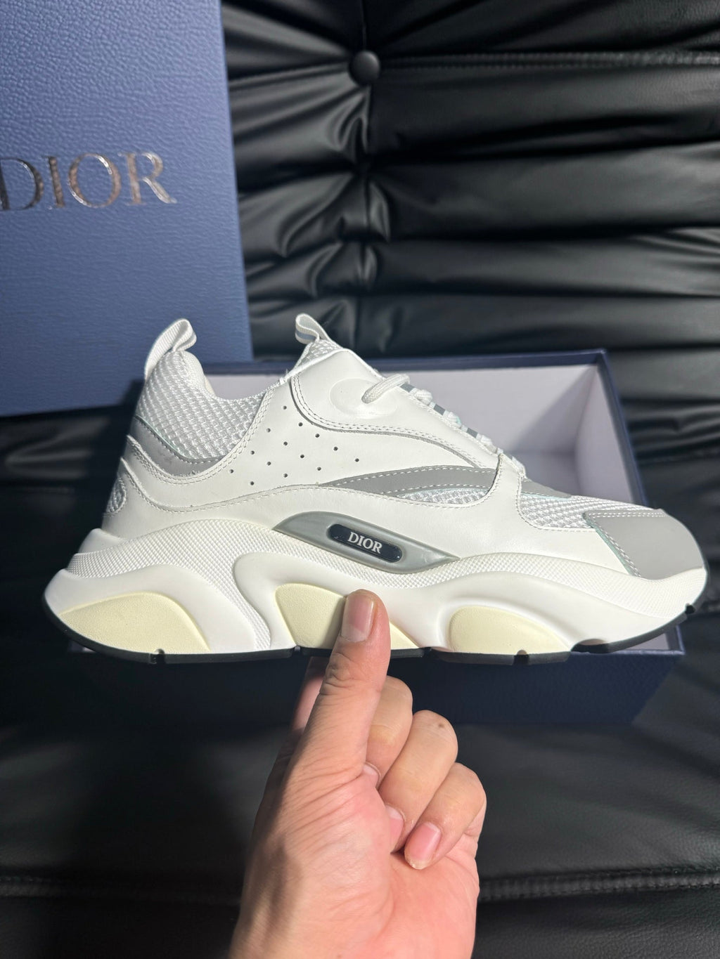 Dior B22 Calfskin Sneakers