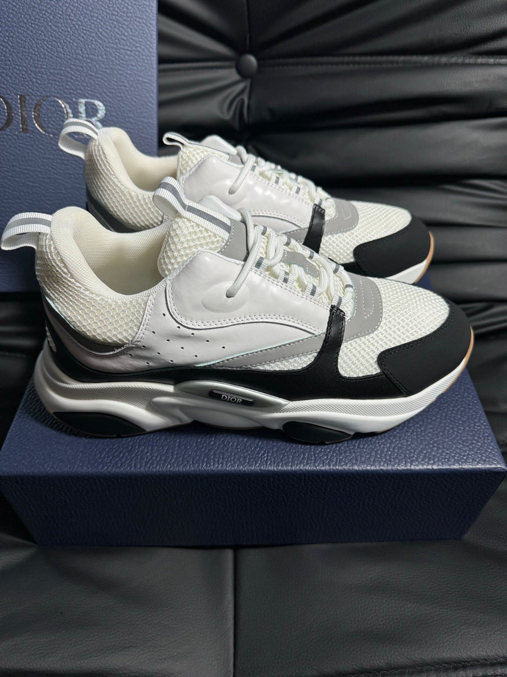 Dior B22 Calfskin Sneakers