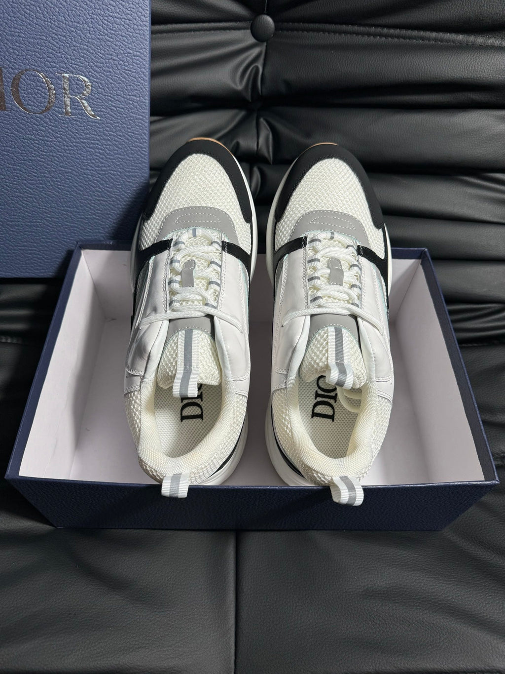 Dior B22 Calfskin Sneakers