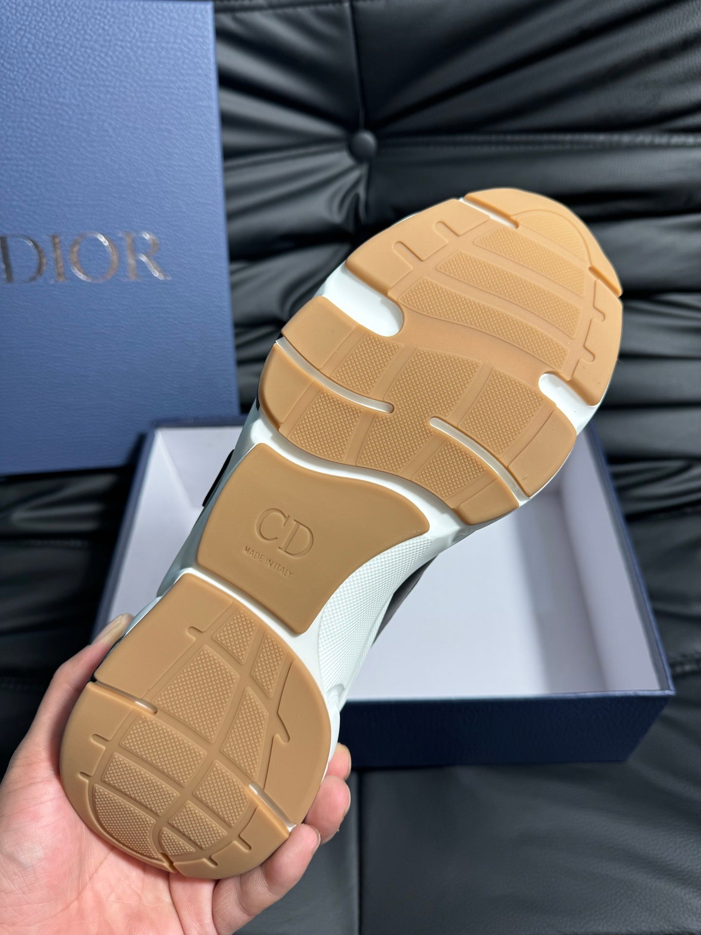 Dior B22 Calfskin Sneakers