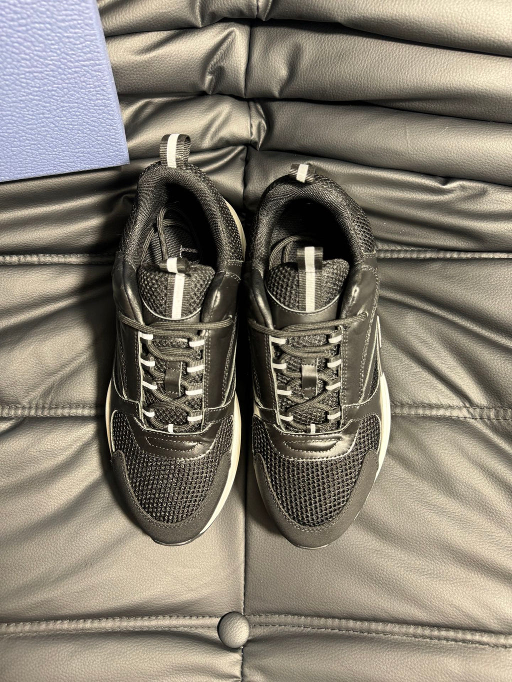 Dior B22 Calfskin Sneakers