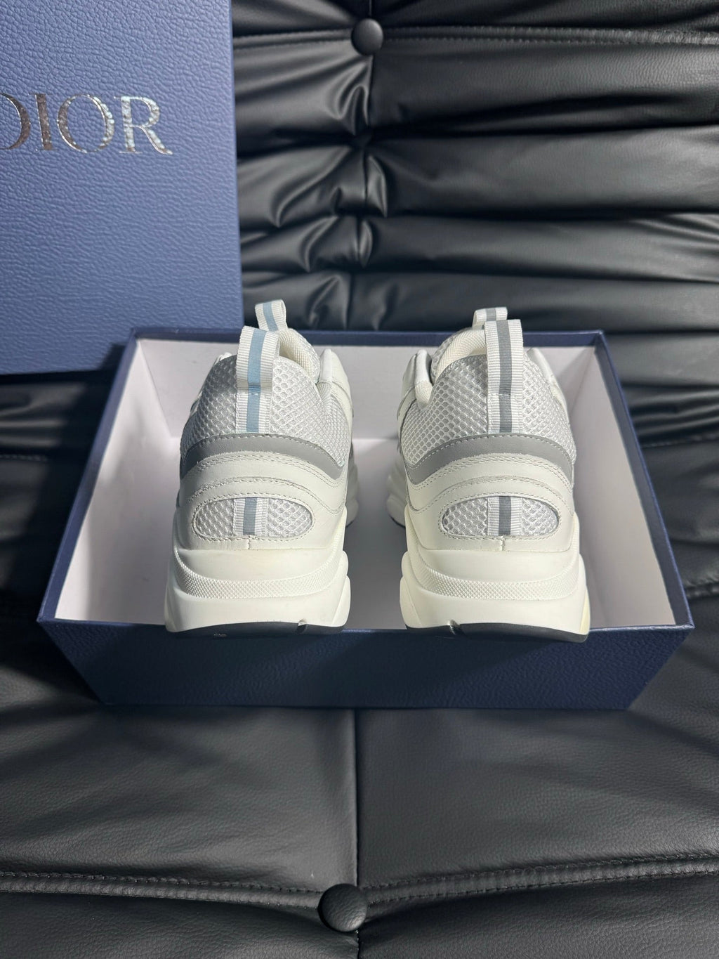 Dior B22 Calfskin Sneakers