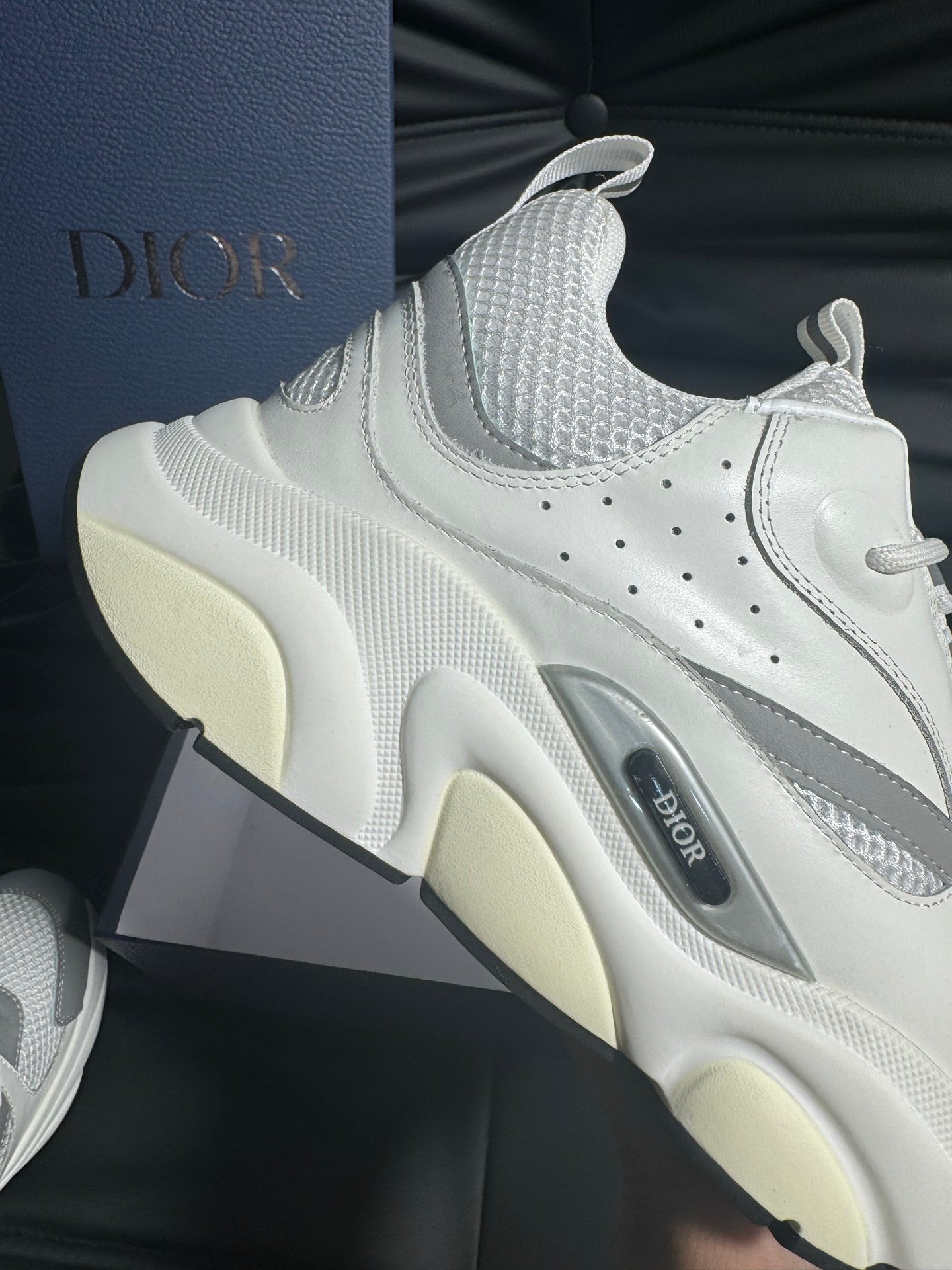 Dior B22 Calfskin Sneakers