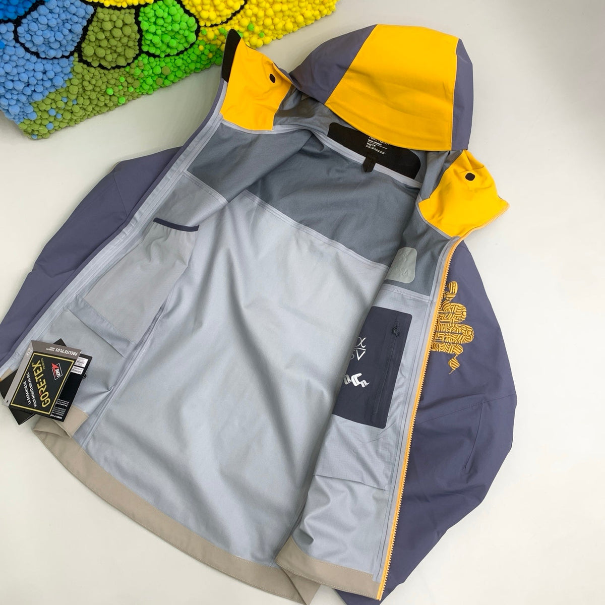 Arc'teryx Alpha SV Golden Python Windbreaker – Limited Edition