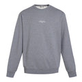 Dior Montaigne Slogan Print Crewneck Sweatshirt – 2025 Winter Collection