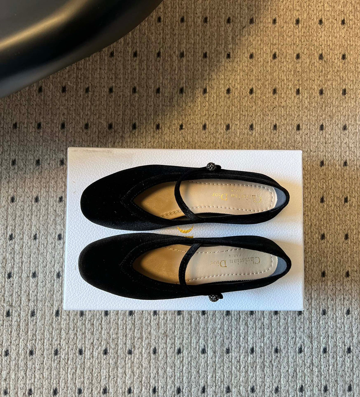 Dior Flat Mary Jane Shoes – 25SS