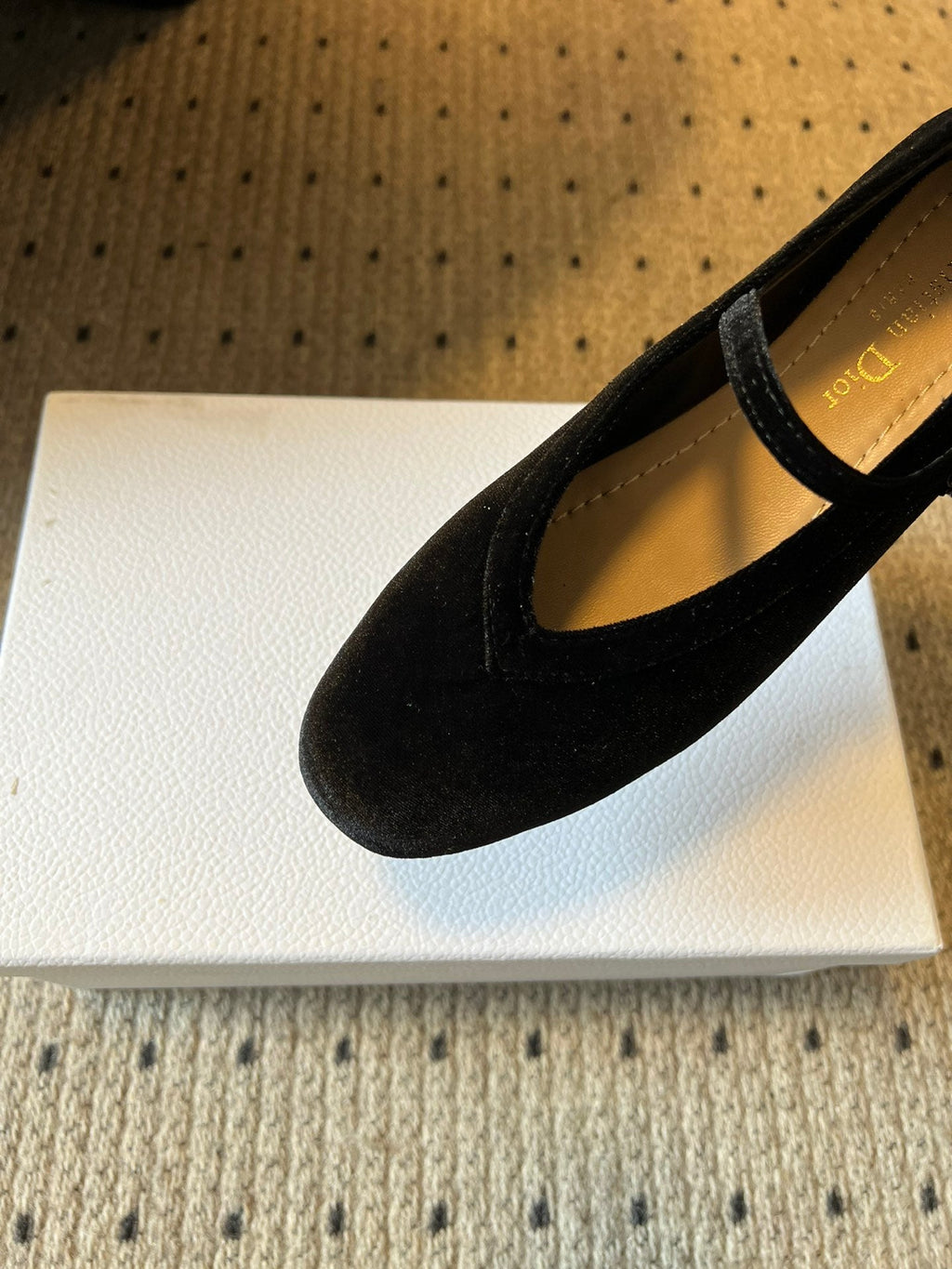 Dior Flat Mary Jane Shoes – 25SS
