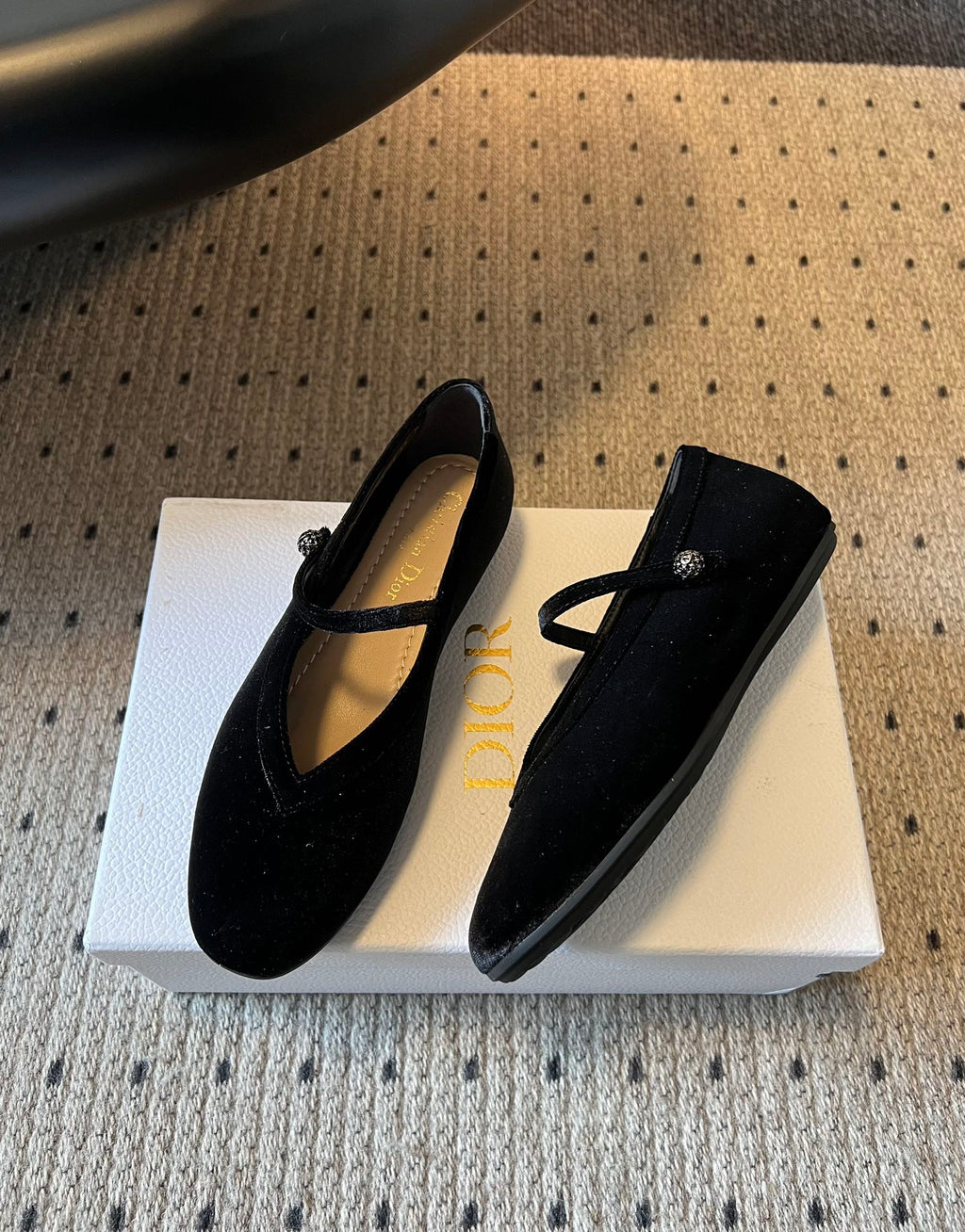 Dior Flat Mary Jane Shoes – 25SS