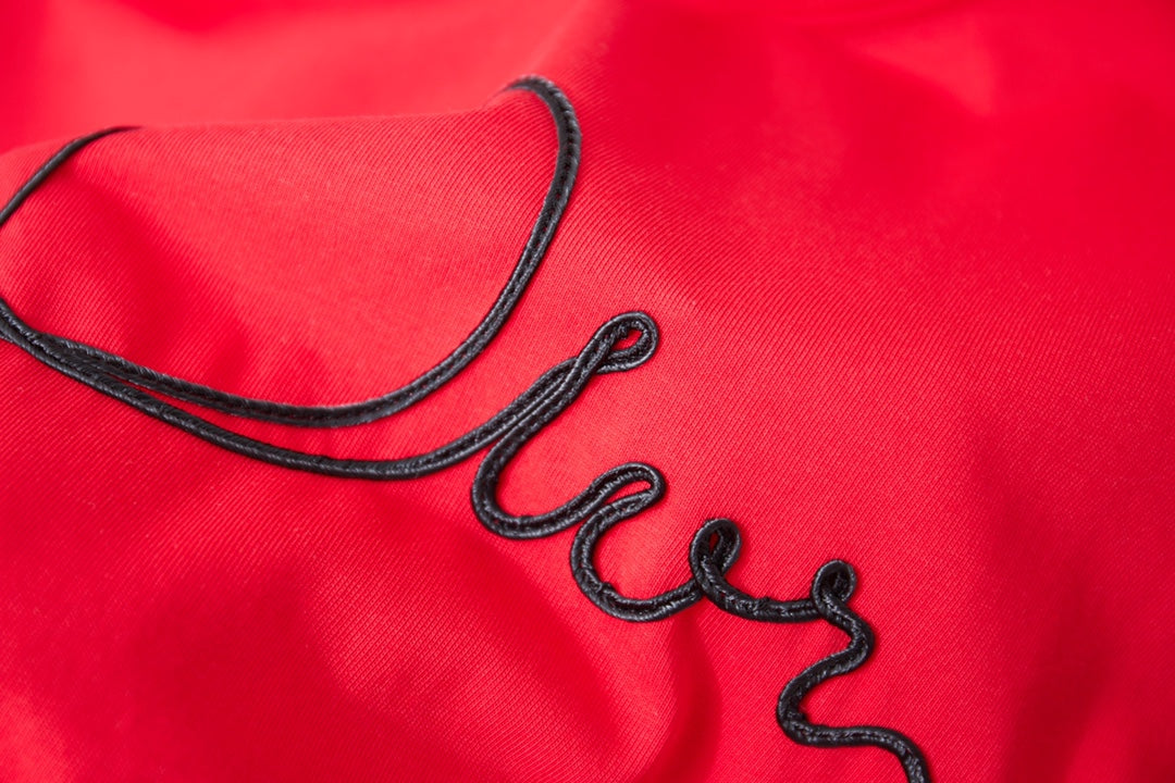 Dior Embroidered Logo Print T-Shirt – 25SS Early Spring Collection