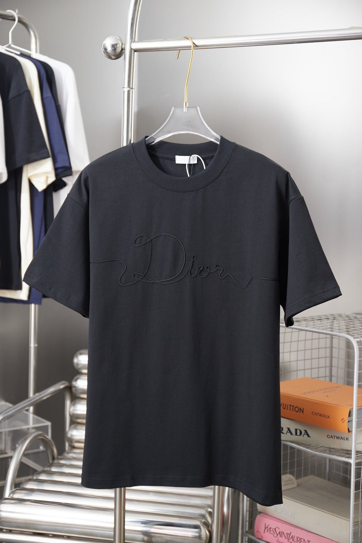 Dior Embroidered Logo Print T-Shirt – 25SS Early Spring Collection