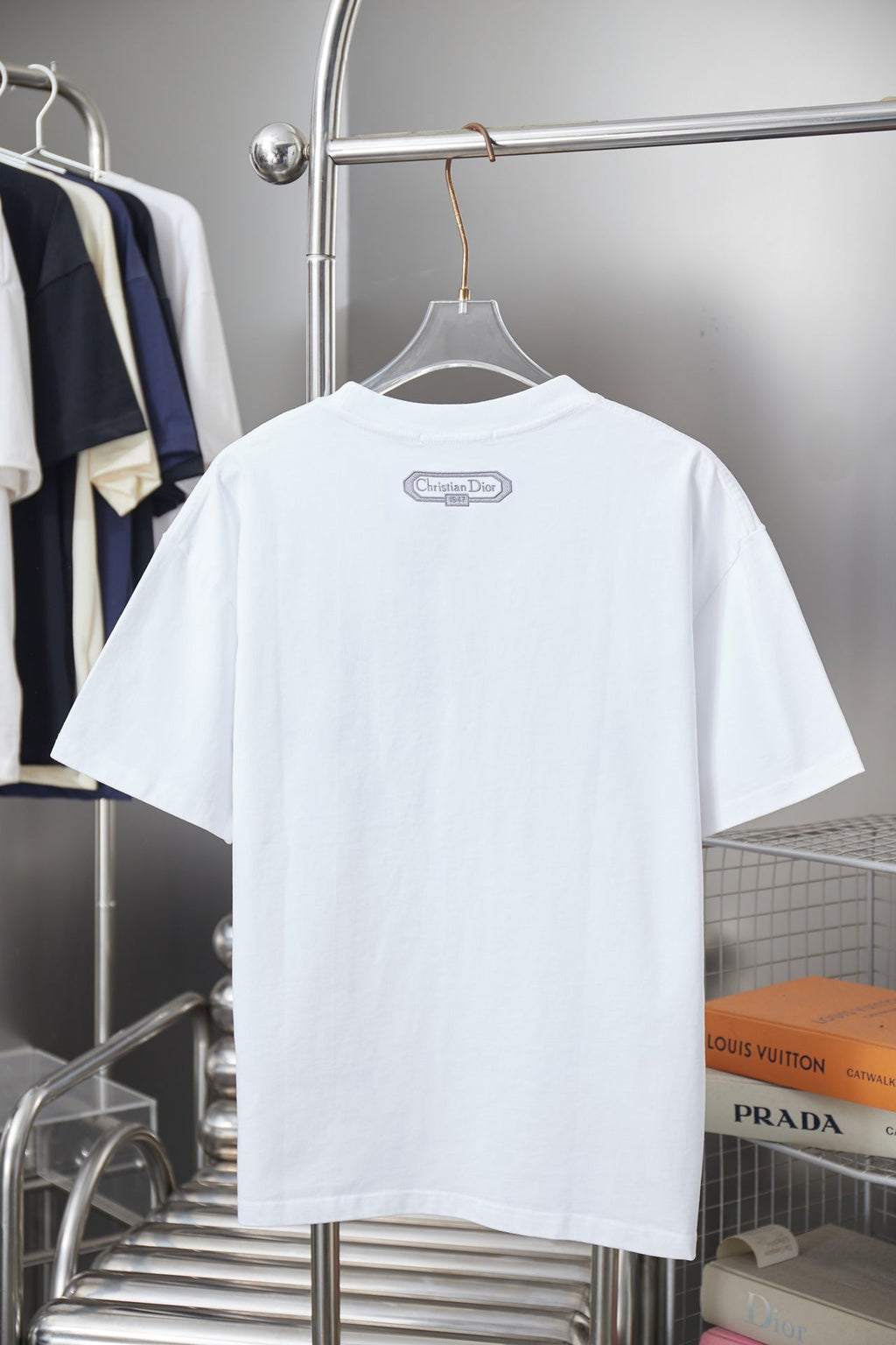 Dior Cloud Warhorse Logo Embroidered T-Shirt – Early Spring Year of the Horse Limited Edition – 26SS