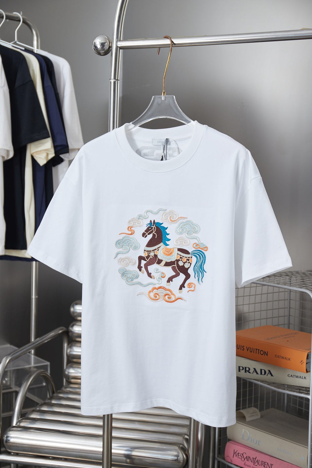 Dior Cloud Warhorse Logo Embroidered T-Shirt – Early Spring Year of the Horse Limited Edition – 26SS