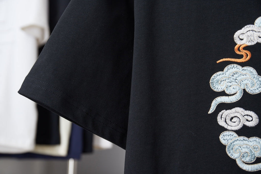 Dior Cloud Warhorse Logo Embroidered T-Shirt – Early Spring Year of the Horse Limited Edition – 26SS