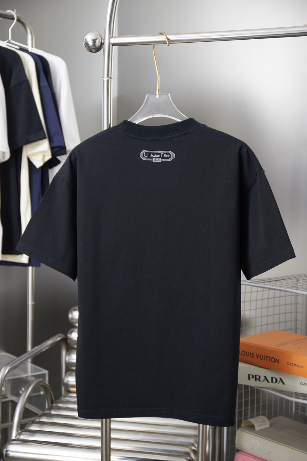 Dior Cloud Warhorse Logo Embroidered T-Shirt – Early Spring Year of the Horse Limited Edition – 26SS