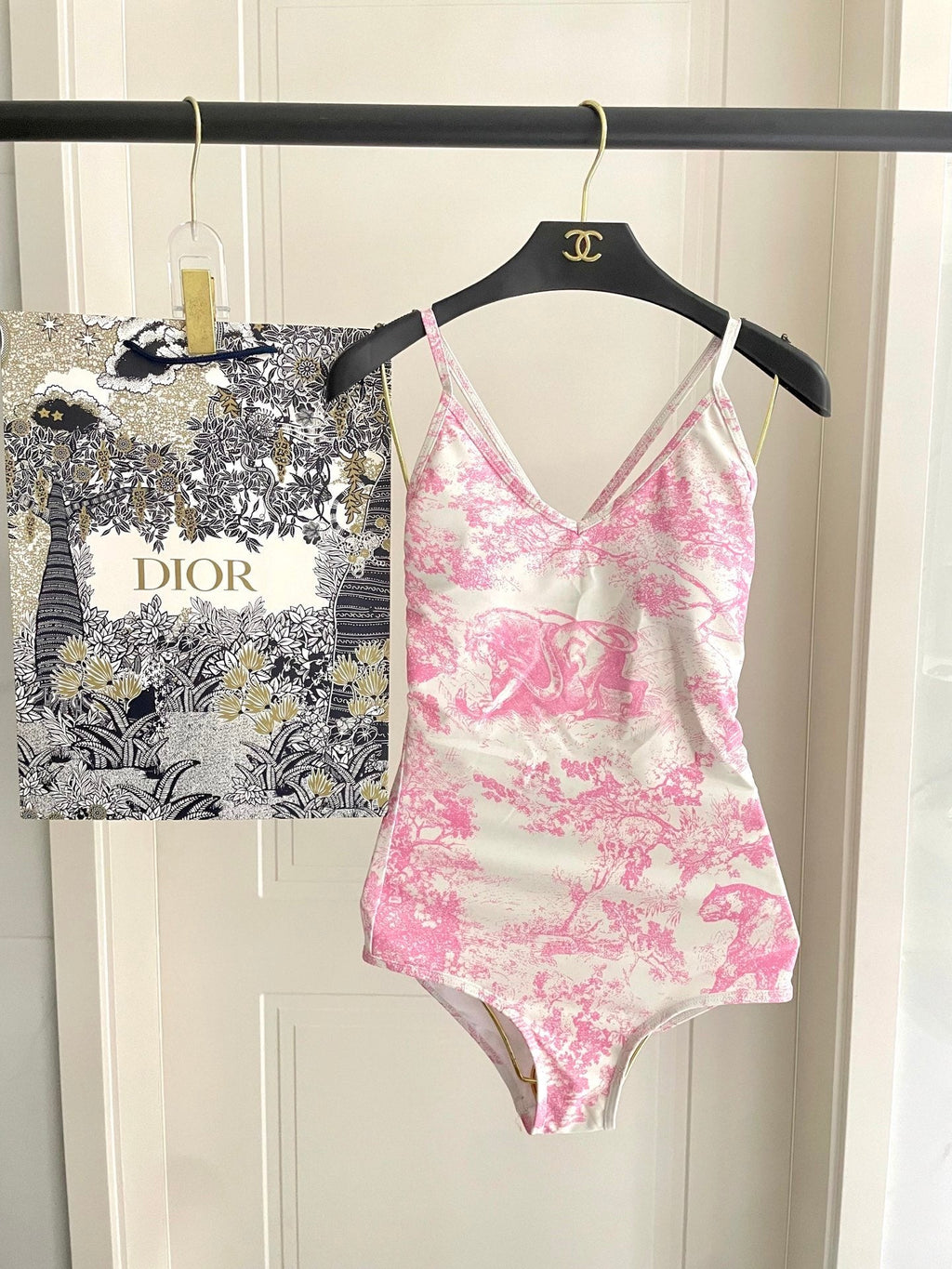 Dior Backless One-Piece Swimsuit